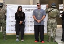 Cartel del Noreste leader arrested as officials recover drugs, weapons and 7 tigers