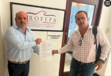 Tamaulipas: Those responsible for damaging Tampico lagoons are reported to Profepa