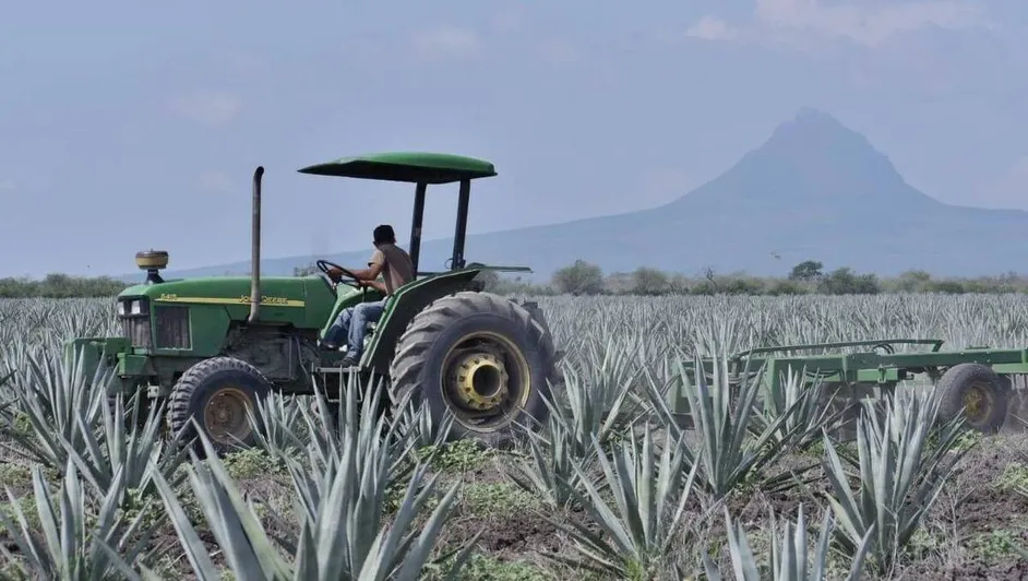 Tamaulipas, second state with the most economic growth in two years